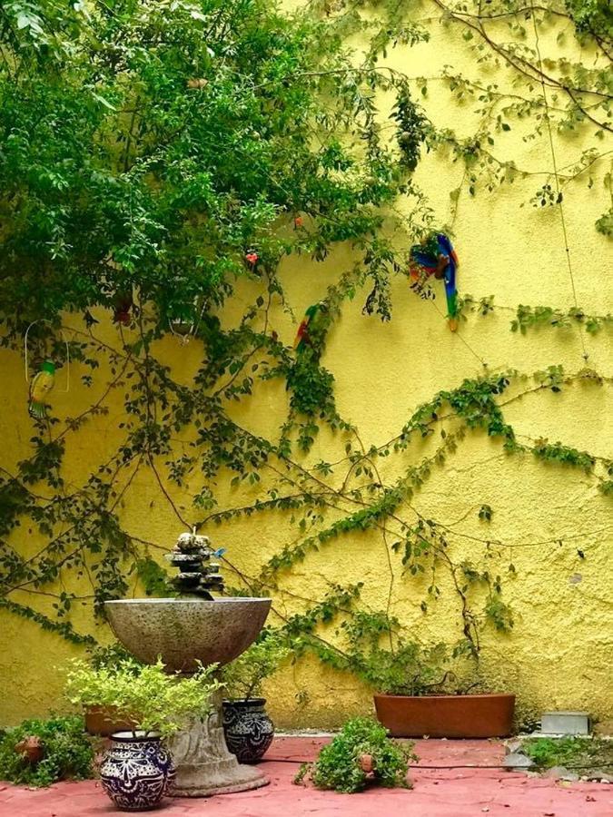Hostal Tlaquepaque Zewnętrze zdjęcie